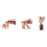 Spongebox Anello protettivo 30mm - 1pz