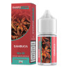 SvapoNext Mr. Fruit Sambuca - Mini Shot 10+10