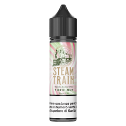Turn-Out-By-Steam-Train - Vape Shot 20ml
