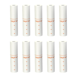 Aspire filtri di ricambio per Vilter - 10pz