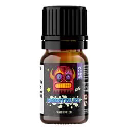Reload Vape Aroma Monster Ice Watermelon Ice - 10ml