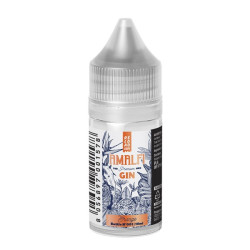 Reload Vape Amalfi Gin Orange - Mini shot - 10 ml